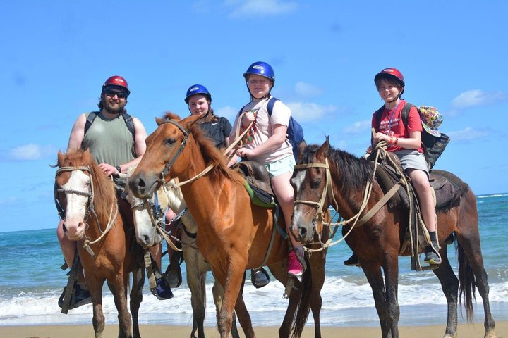 Amazing 3-Hour Horseback Riding at Puerto Plata with Pickup - Photo 1 of 9